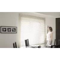 Жалюзи горизонтальные INTEGRA G-FORM без установки (Рассчитать цену)