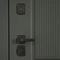 Входная дверь Scandi