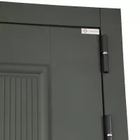 Входная дверь Scandi