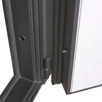 Входная дверь Scandi