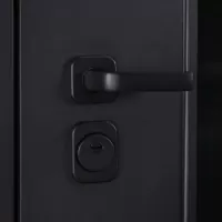 Входная дверь Solana